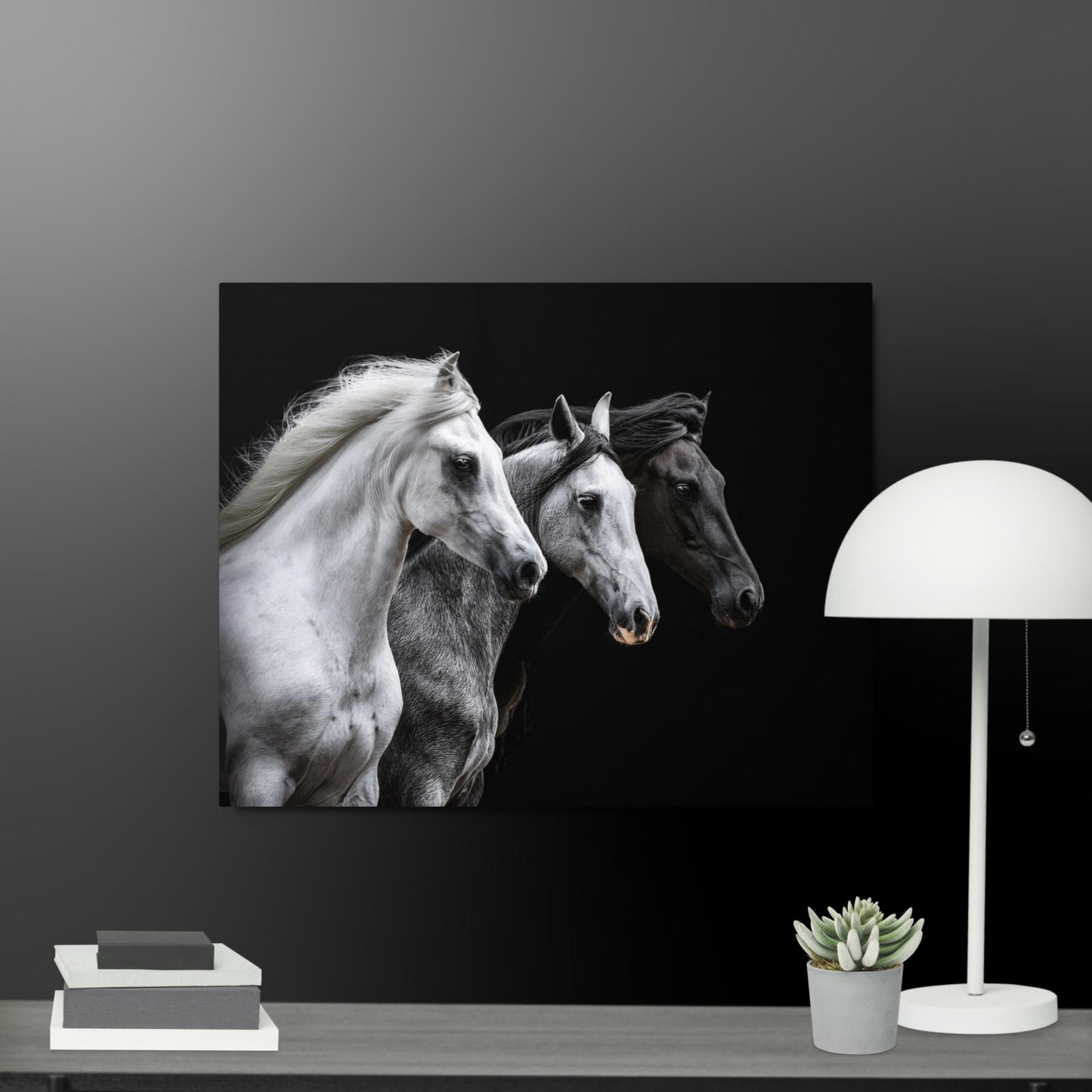 Metal prints of a Beautiful Trio of Horses!!